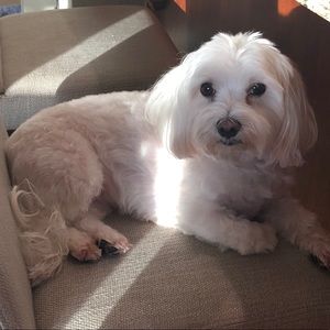 Meet your Posher, Gina